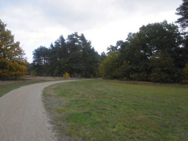 CTF-Permanente Neustaedter Holz 039
